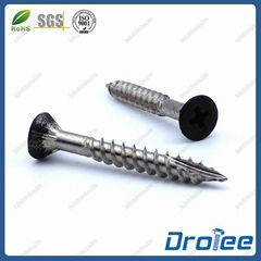 Stainless Steel 316L Matt Black Painted Head Deck Screw Type 17