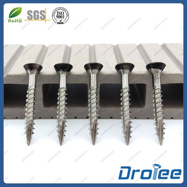 Stainless Steel 316L Matt Black Painted Head Deck Screw Type 17 DRL