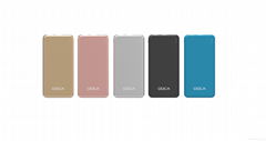 AAA+ Battery Power Bank 10000 mAh High Capacity For Mobile Phone