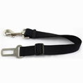 Nylon Dog seatbelt