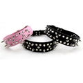 Leather Dog Collars for Pitbull Mastiff  2