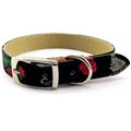 Floral Designs Little dog Collars  2