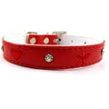 Embroidery dog collars  4