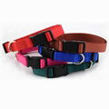 Nylon Clips dog collars