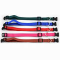 Nylon Clips dog collars 2