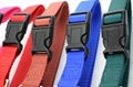 Nylon Clips dog collars 5