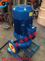 立式熱水管道泵 4