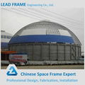 Space frame shed storage steel dome