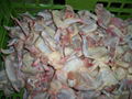 FROZEN CHICKEN FEET AND CHICKEN PAWS 2