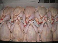 Halal Chicken Feet / Frozen Chicken Paws Brazil / Fresh chicken wings