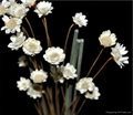 Ceramic full star sky aroma reed diffuser set in stock 2