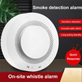 Battery operated standalone wireless smoke leak sensor detector alarm