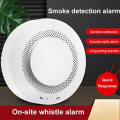 Battery operated standalone wireless smoke leak sensor detector alarm