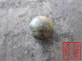 forged  grinding steel ball for ball mill in mines cement plant power plant