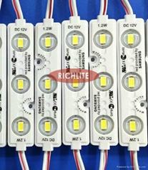 Rich Lite Rich Lite