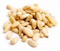 Pine nuts kernels wholesale cedar nuts 1