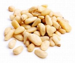 Pine nuts kernels wholesale cedar nuts