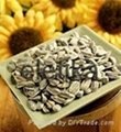 Sunflower seeds kernels bakery grade