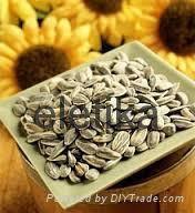 Sunflower seeds kernels bakery grade