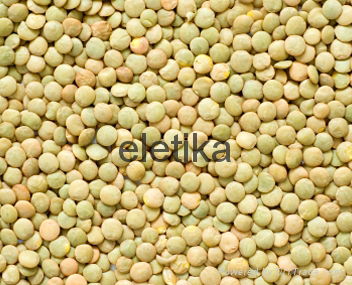 Wholesale TOP HIGH QUALITY LENTILS