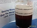  Phenolic aldehyde series weakly acidic cation exchange resin 1