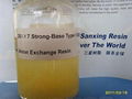 Strong-Base Type I (Gel) Anion Exchange Resin 1