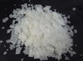 SODIUM HYDROXIDE,CAUSTIC SODA  1