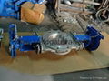  Double Open Knife Gate Valve 1