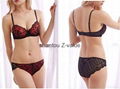 2016Sexy fancy ladies sexy lace net bra sets sexy bra panty set