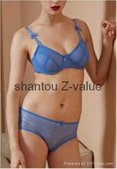 2116 fashion OEM wholesale lace  bra set