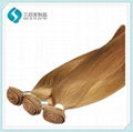 European Silky Straight Human hair 2