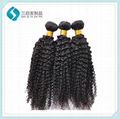 New Brazilian Hair Weave  Wholesale Virgin Kinky wave 1