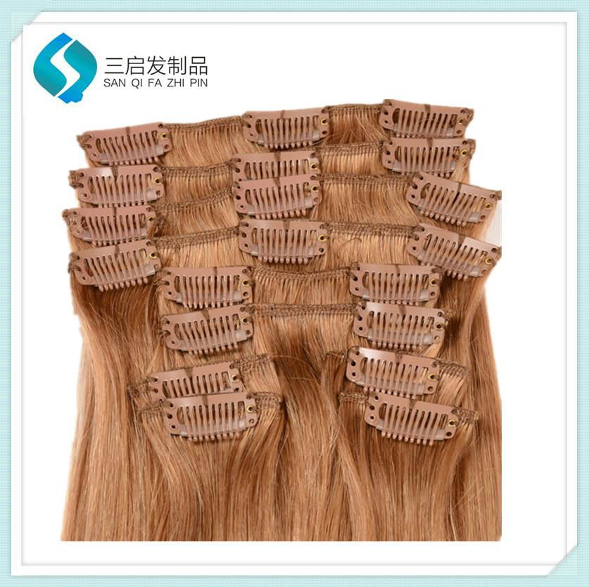 Clip in Hair extensions 3