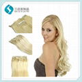 Clip in Hair extensions 2