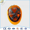 electrical safety helmet price 2