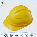 electrical safety helmet price 3