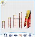 extension insulating telescopic ladder