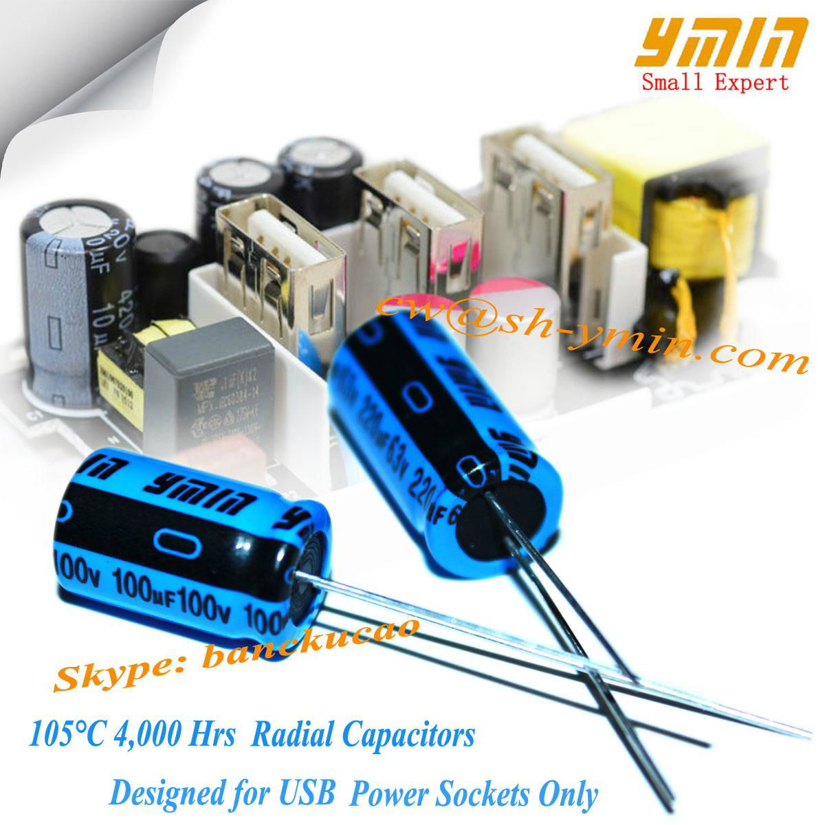 100V 100uF Capacitors Radial Electrolytic Capacitors for Solar LED Light