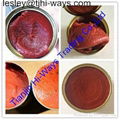 Tomato paste of 28/30 and 36/38 brix 1