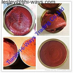 Tomato paste of 28/30 and 36/38 brix