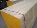 OSHA LVL scaffold board/ plank