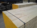 full pine laminated  scaffold board