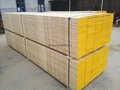pine LVL scaffold board/plank for construction 3