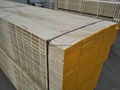 best quality  pine laminated scaffold board/plank  2