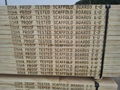 best quality  pine laminated scaffold board/plank  3