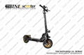 TNE-SCOOTER Q4-v5 2