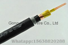 Plastic Insulated Control Cable