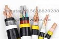VV Copper Core PVC Insulated PVC Sheathed Power Cable 2