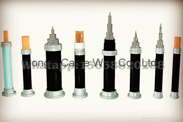 Overhead Insulated Cable 2