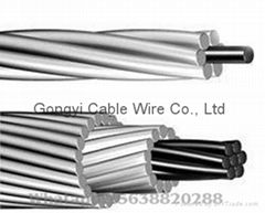 Aluminum Conductor Steel Reinforced (ACSR)